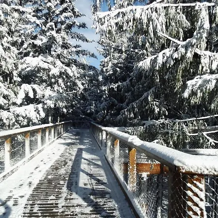 Doky - Pla Lipno nad Vltavou