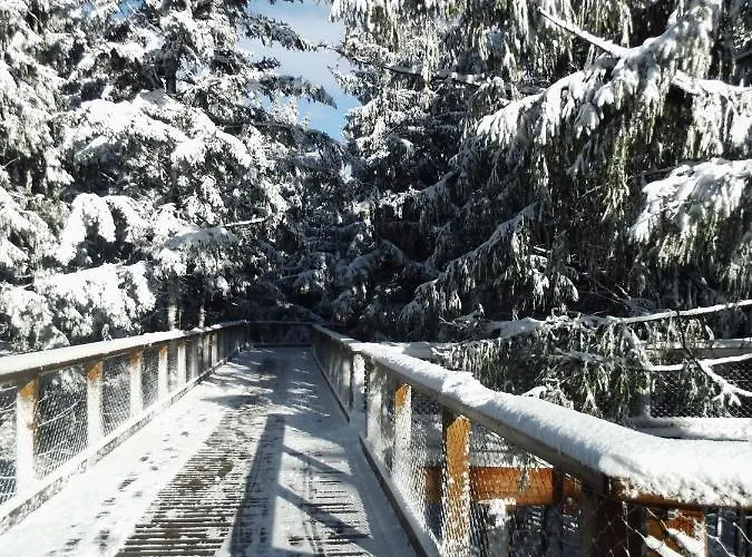 Doky - Pla Lipno nad Vltavou